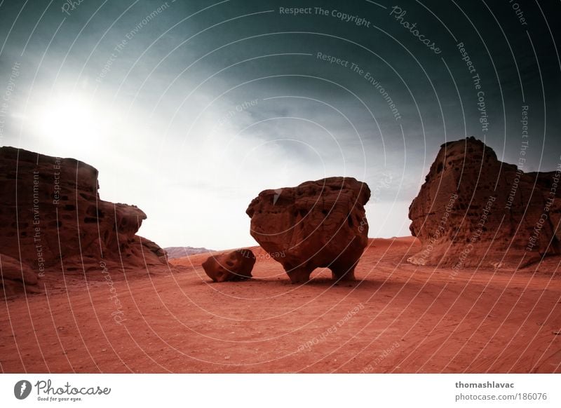 Wüste Wadi Rum Umwelt Natur Landschaft Sand Himmel Wolken Hügel Felsen Ferien & Urlaub & Reisen rot Farbfoto Außenaufnahme Menschenleer Tag Starke Tiefenschärfe