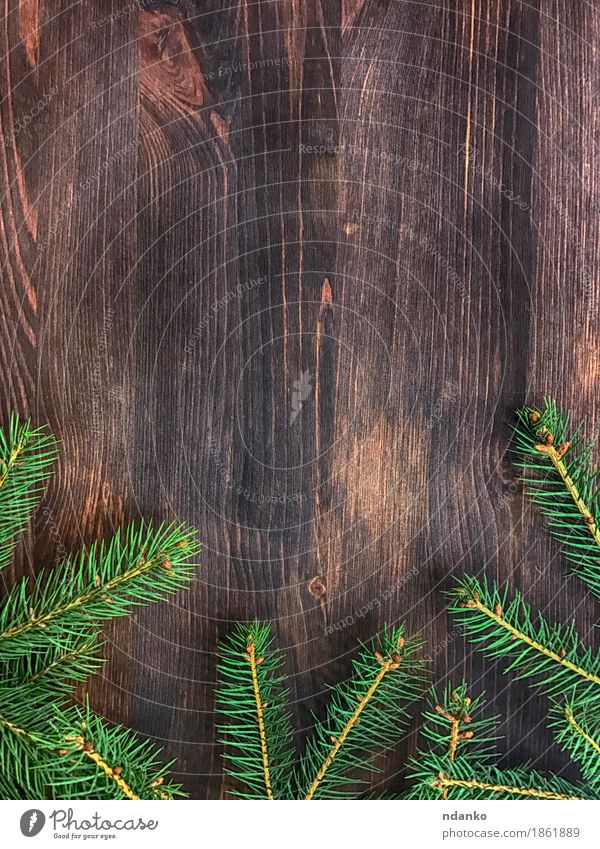 Zweig des grünen Tannenbaums auf Hintergrund des hölzernen Brettes Dekoration & Verzierung Schreibtisch Tisch Feste & Feiern Weihnachten & Advent Natur Baum