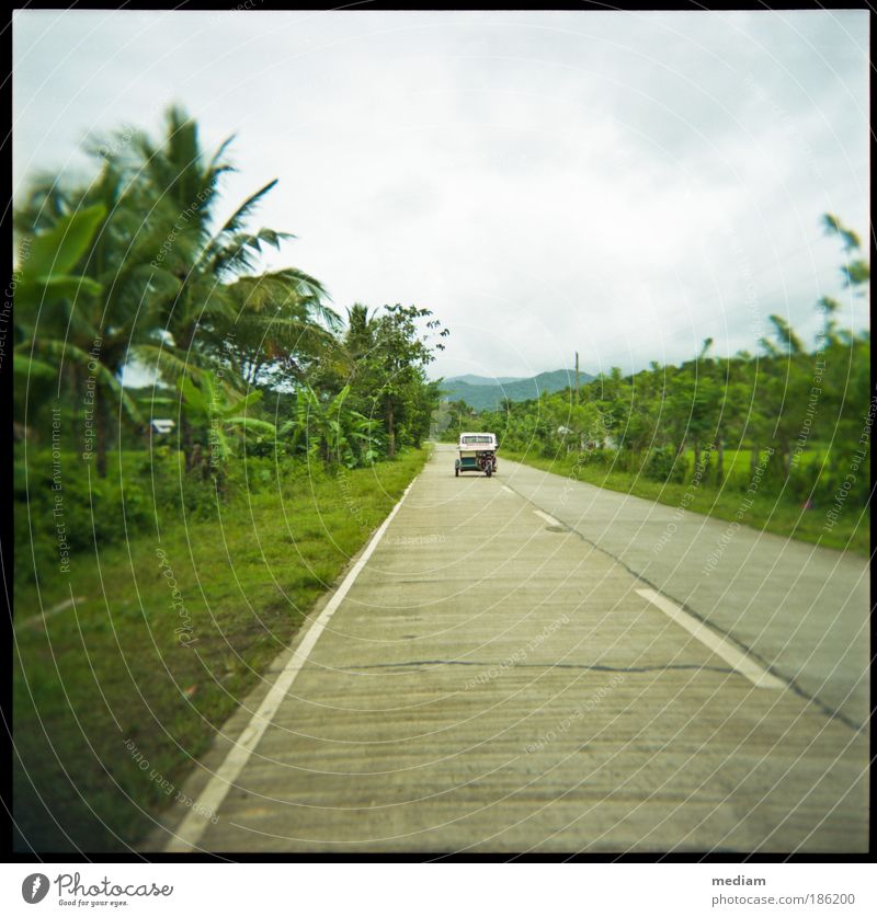 Tropentaxi, 9 km/h Ferien & Urlaub & Reisen Natur Pflanze Palawan Philippinen Südostasien Verkehr Verkehrsmittel Personenverkehr Öffentlicher Personennahverkehr
