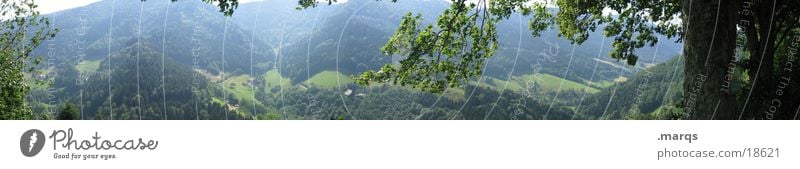 Dreitälerblick Baum Tal Monokultur Ferne Schwarzwald Panorama (Aussicht) Wald Blatt Sommer Berge u. Gebirge Black Forest Baumstamm marqs groß