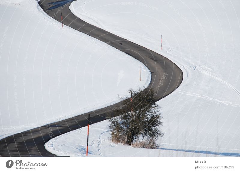 Slalom Ausflug Schnee Winterurlaub Umwelt Natur Klima Wetter Sträucher Hügel Berge u. Gebirge Verkehr Verkehrswege Straßenverkehr kalt gefährlich Sicherheit