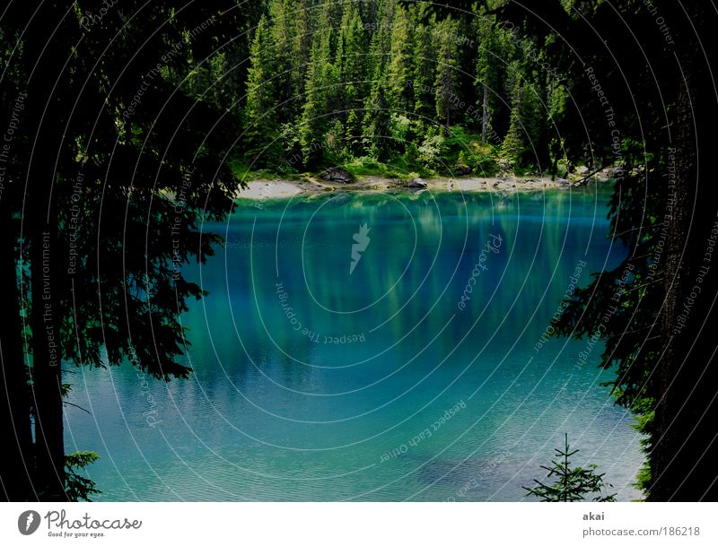 Karersee in Südtirol Natur Landschaft Wasser Schönes Wetter Baum See Sehenswürdigkeit blau grün Gefühle Stimmung Umwelt Umweltschutz Ferien & Urlaub & Reisen