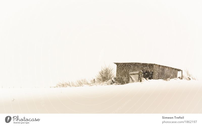 Winterhütte Ausflug Abenteuer Schnee wandern Feld Menschenleer Hütte Tür frieren Häusliches Leben alt bedrohlich einfach gruselig braun weiß Einsamkeit