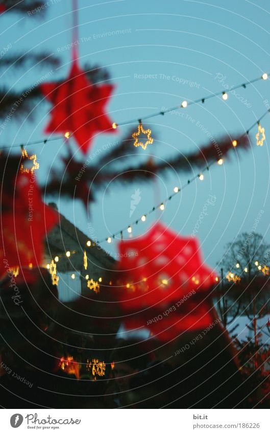 MEHR ROT ALS GOLD Feste & Feiern glänzend Weihnachten & Advent Weihnachtsdekoration Stern Lichterkette Baumschmuck Stern (Symbol) Weihnachtsmarkt