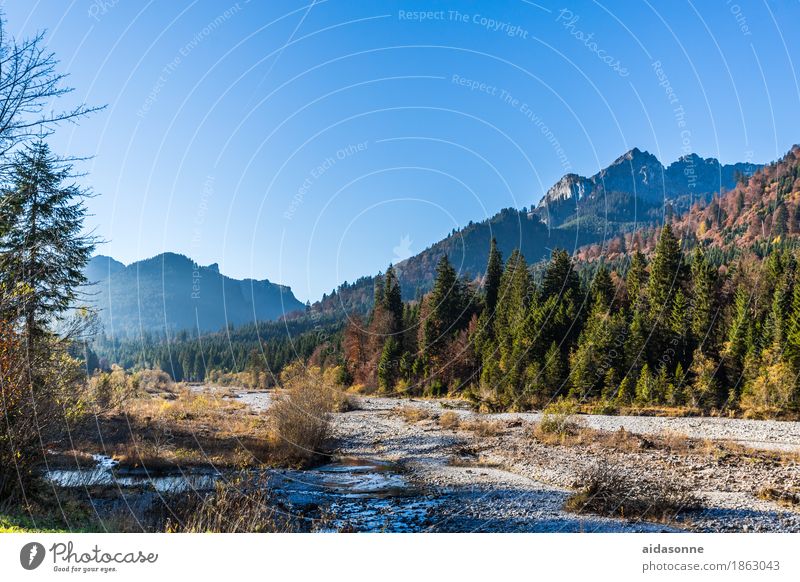 Alpen Landschaft Schönes Wetter Berge u. Gebirge Gipfel Vorsicht Gelassenheit ruhig Farbfoto Außenaufnahme Menschenleer Tag Weitwinkel