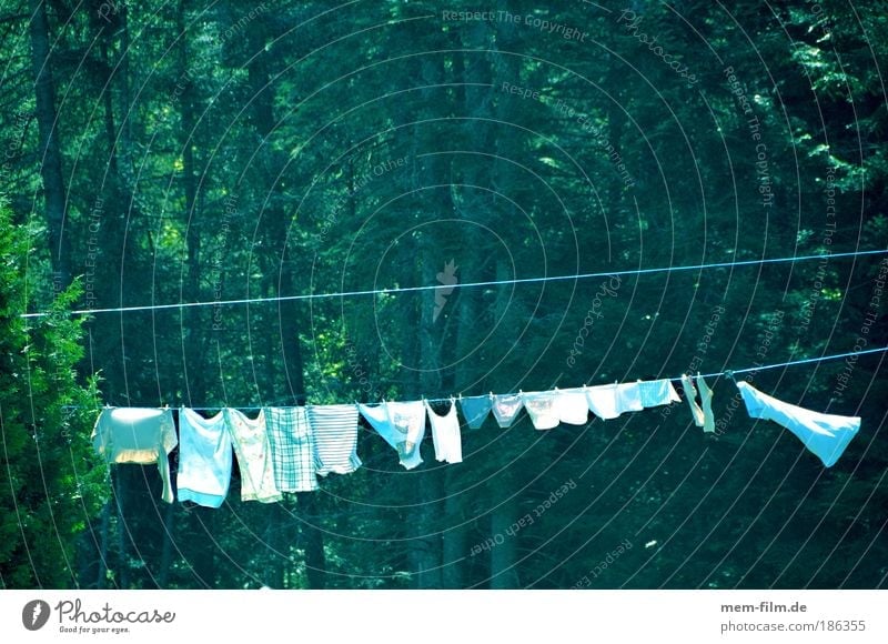 90 grad Wäsche trocknen weiß weißwäsche Seil Wäscheleine trocken Wäsche waschen Reinigen Haushalt Sauberkeit rein Natur Baum Wald aufhängen Sonnenlicht