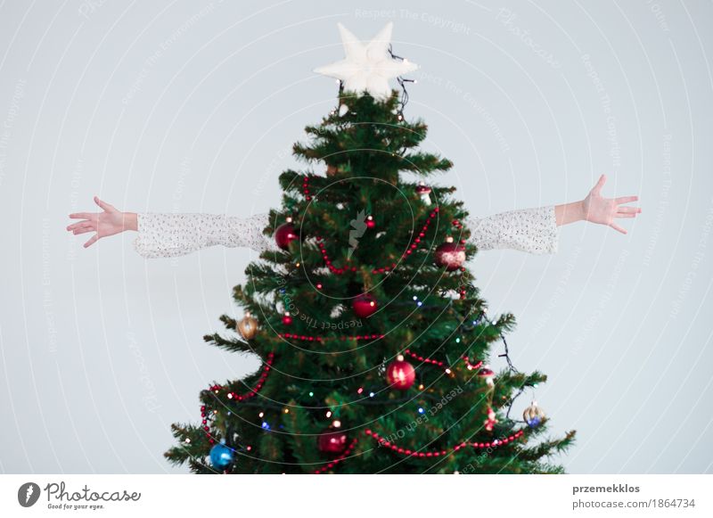 Mädchen, das den Weihnachtsfeiertag versteckt hinter Weihnachtsbaum genießt Lifestyle Freude Glück Dekoration & Verzierung Weihnachten & Advent Hand 1 Mensch