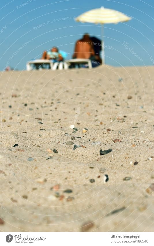 aus besseren Tagen... Sommer Sommerurlaub Sonne Sonnenbad Strand Meer maskulin Paar Rücken 2 Mensch Schönes Wetter Ostsee Sand liegen sitzen träumen