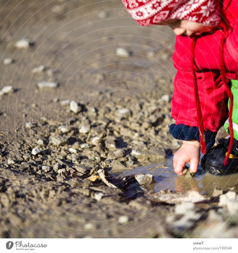 Steinchen Mensch Kleinkind Mädchen Kindheit Kopf Hand Finger 1 1-3 Jahre Natur Erde Wasser Wassertropfen Herbst beobachten entdecken fangen hocken machen