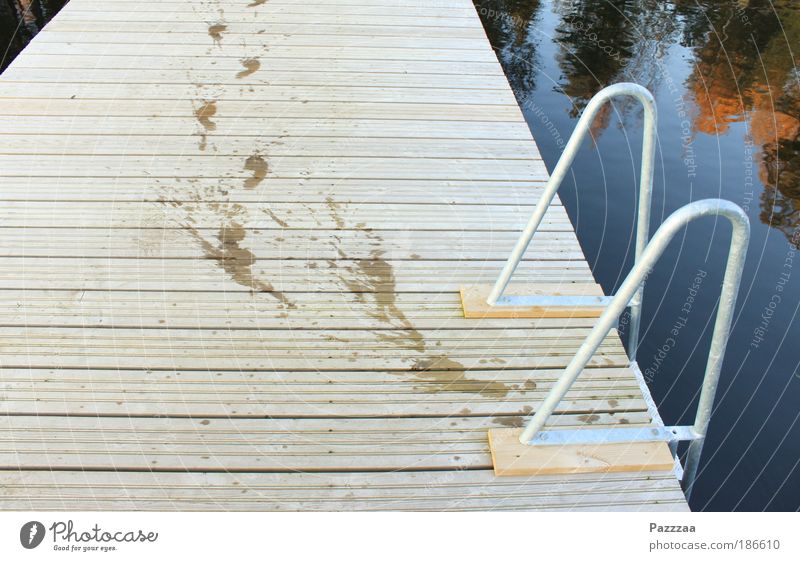 Plumps? Nee, der ist grad los. Sommer Fuß 1 Mensch Wasser Wassertropfen Seeufer laufen braun Fröhlichkeit Fußspur Schwimmen & Baden tropfend Steg Farbfoto
