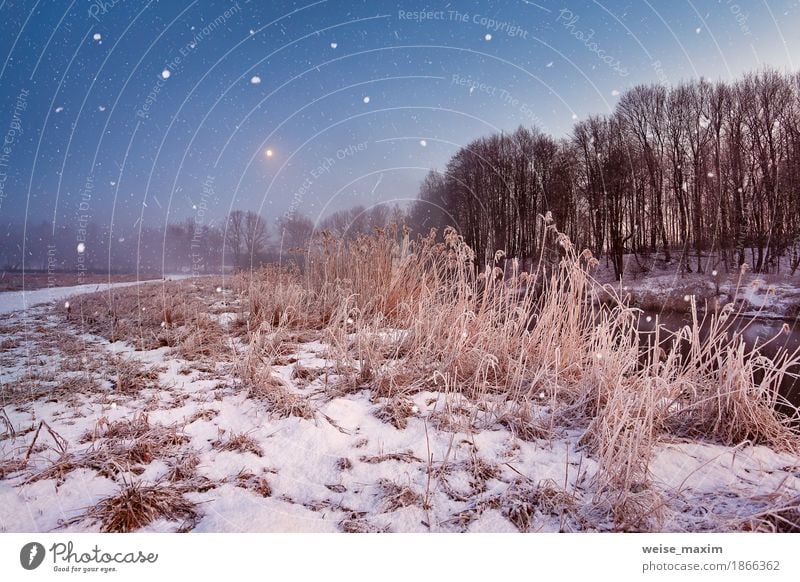 Magic Winter Weihnachtsnacht. Schneefall Szene auf einem Fluss Abenteuer Winterurlaub Landschaft Mond Nebel Eis Frost Baum Gras Wiese natürlich Schneeflocke