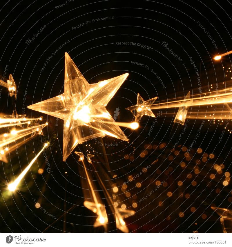 stars on the way Dekoration & Verzierung ästhetisch gold schwarz Vorfreude Stern (Symbol) Licht Lichtpunkt Weihnachten & Advent Weihnachtsdekoration