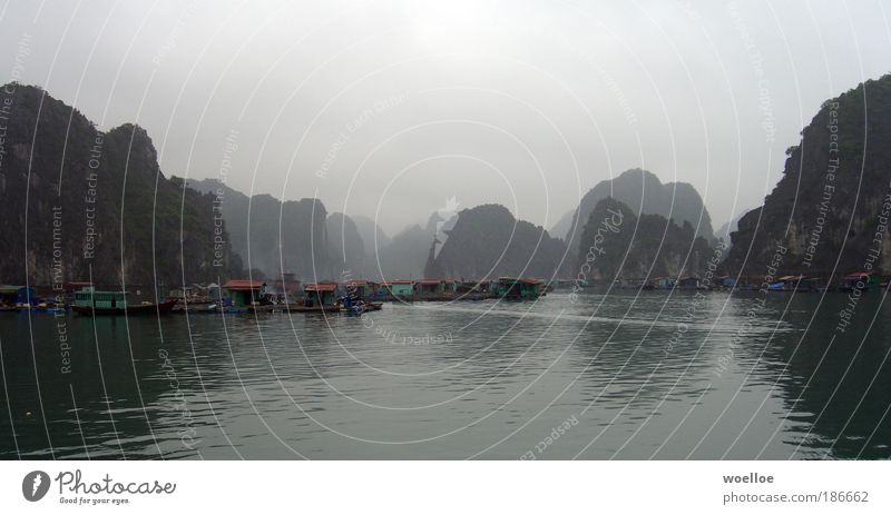 Fischerdorf in der Halong Bay, Vietnam Ferien & Urlaub & Reisen Meer Insel Natur Landschaft Wasser Himmel Wolken schlechtes Wetter Nebel Felsen Schlucht Küste