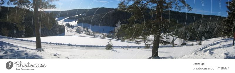 Winter im Schwarzwald Baum Tal Aussicht kalt Panorama (Aussicht) Hügel Monokultur ruhig Einsamkeit Weitwinkel Berge u. Gebirge Schnee Eis Straße marqs groß