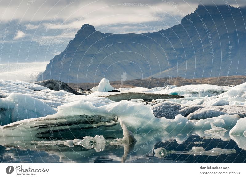 Klimagipfel !! Umwelt Natur Landschaft Klimawandel Eis Frost Gletscher Küste Bucht Fjord Einsamkeit einzigartig bedrohlich nachhaltig Umweltverschmutzung