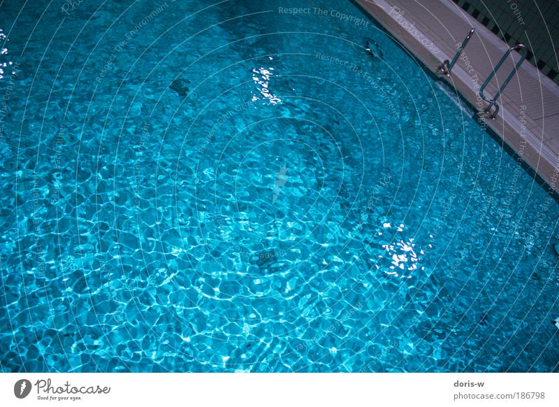 pool springen Wasser blau Blauton Wellen Becken Beckenrand Sprungbrett Dreieck Fliesen u. Kacheln Wasseroberfläche Oberflächenstruktur zyan oben Schwimmhalle