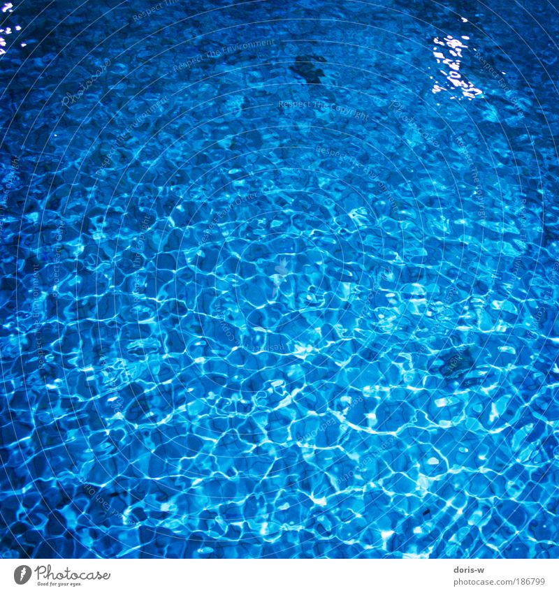 deep blue Erholung ästhetisch frisch kalt nass oben blau zyan Muster tauchen Wasseroberfläche Schwimmbad Schwimmhalle Ordnung Verlauf Licht