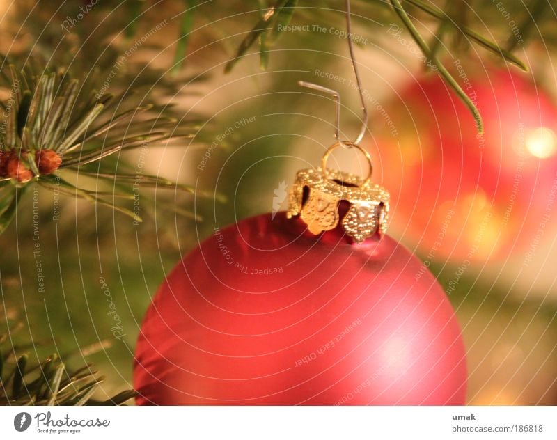 Auf ein gemütliches Weihnachtsfest... Wohnung Dekoration & Verzierung Erholung Blick träumen Duft Kitsch Wärme gelb grün rot Lebensfreude Geborgenheit