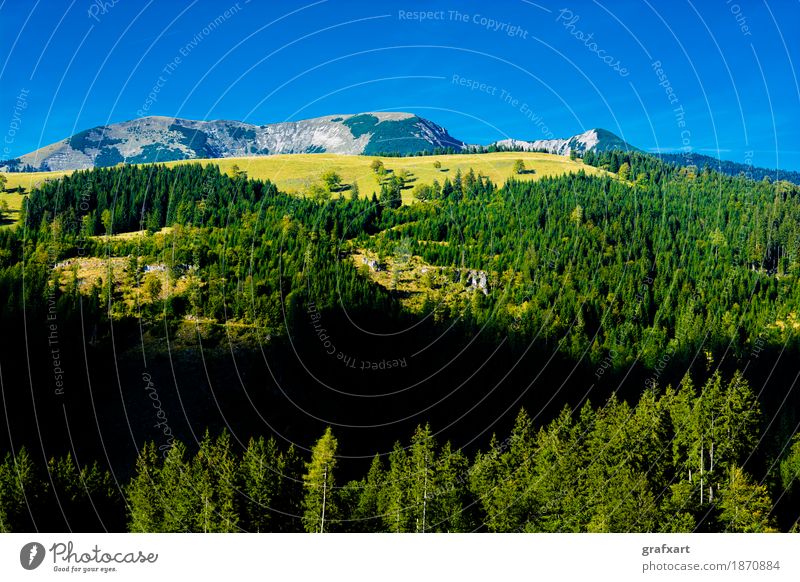 Alpine Landschaft mit Bergen und Wäldern in Österreich Berge u. Gebirge Alpen Wald alpin Aussicht Einsamkeit erhaltung Erholung Felsen Forstwirtschaft Himmel
