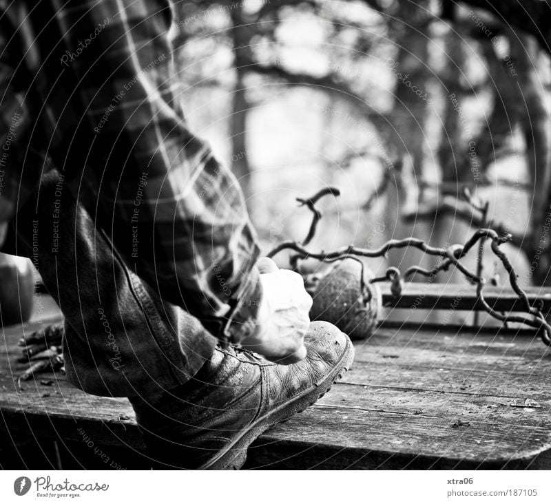 arbeiter Mensch maskulin Mann Erwachsene Arme Hand Beine Fuß 1 Hemd Hose Schuhe Wanderschuhe natürlich Schuhbänder binden Astgabel Tisch Holz Arbeiter