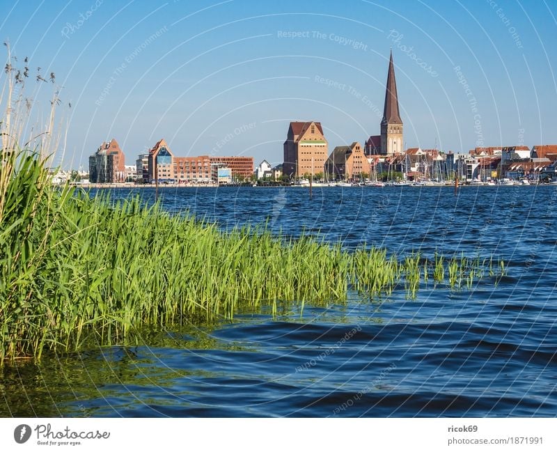 Blick über die Warnow auf die Hansestadt Rostock Erholung Ferien & Urlaub & Reisen Tourismus Natur Landschaft Wasser Wolkenloser Himmel Fluss Stadt Hafen
