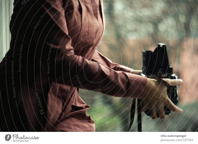 analoger Fotospaß Fotokamera feminin Frau Erwachsene 1 Mensch beobachten entdecken festhalten Blick einzigartig nachhaltig Neugier ästhetisch Entschlossenheit