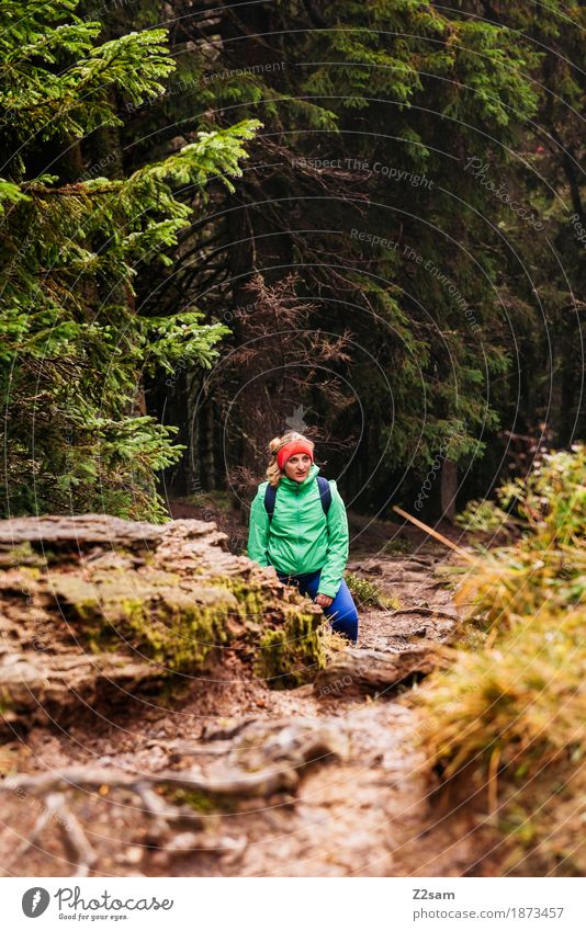pause Berge u. Gebirge wandern Sport Frau Erwachsene Natur Landschaft Herbst Nebel Baum Gras Felsen Alpen stehen Coolness trendy ruhig Einsamkeit Abenteuer