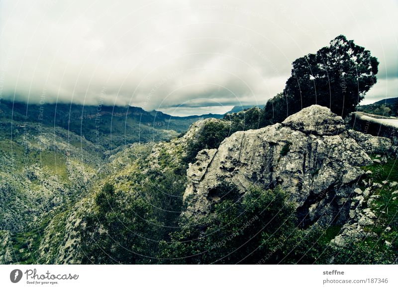 mallorquinisches Hinterland Landschaft Pflanze Wolken Gewitterwolken Wetter schlechtes Wetter Wind Baum Felsen Berge u. Gebirge Mallorca natürlich blau grün Tal