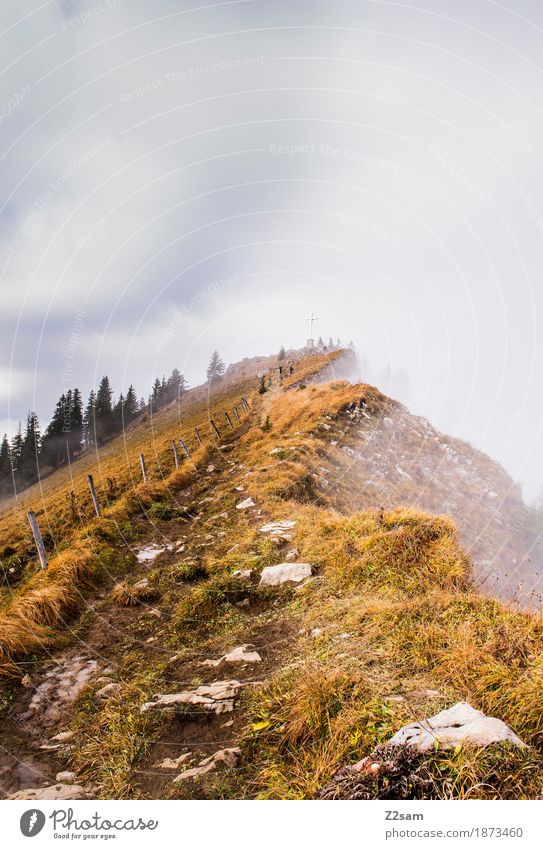 ein langer weg Berge u. Gebirge wandern Frau Erwachsene Natur Landschaft Wolken Sonne Herbst Schönes Wetter Nebel Alpen Gipfel Ferne gigantisch natürlich