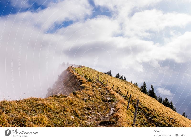 Gratwanderung Berge u. Gebirge wandern Umwelt Natur Landschaft Wolken Sonne Herbst Nebel Alpen Gipfel Schlucht bedrohlich gigantisch hoch Einsamkeit Abenteuer