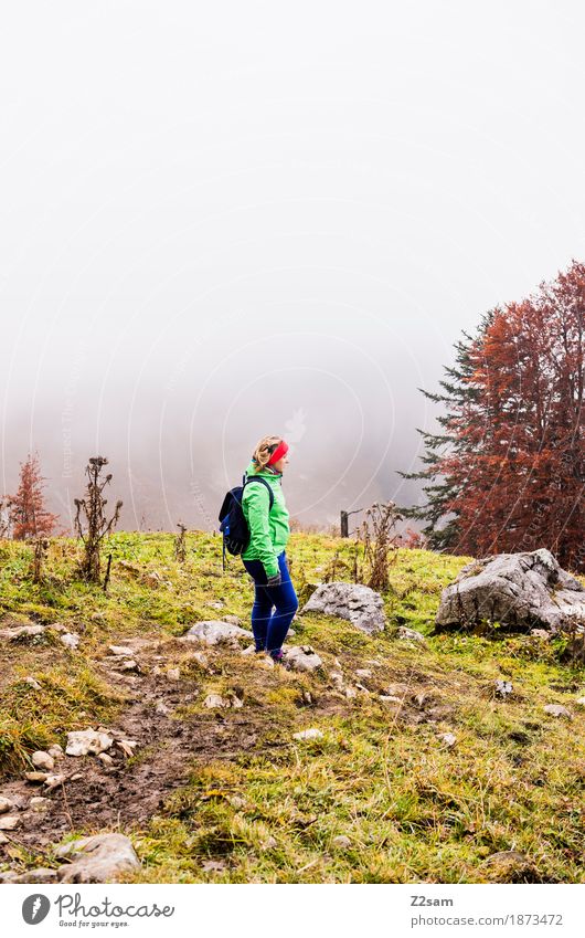 Nix los hier Freizeit & Hobby Berge u. Gebirge wandern Frau Erwachsene 18-30 Jahre Jugendliche Natur Landschaft Wolken Herbst schlechtes Wetter Nebel Baum Alpen