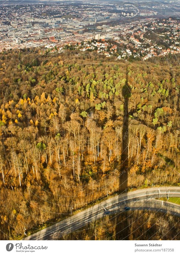 kein Berliner! Ferien & Urlaub & Reisen Tourismus Sightseeing Städtereise Stuttgart Stadt Turm Denkmal Wald Waldrand Herbst Herbstwald Herbstfärbung Stadtrand