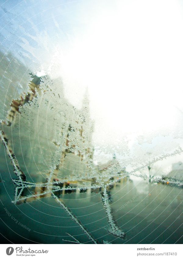 Klimakrise Dezember Fensterscheibe Scheibe Autofenster Glas Eis Eisblumen Frost Winter winterfest eiskratzer PKW Windschutzscheibe frostschutz Standheizung