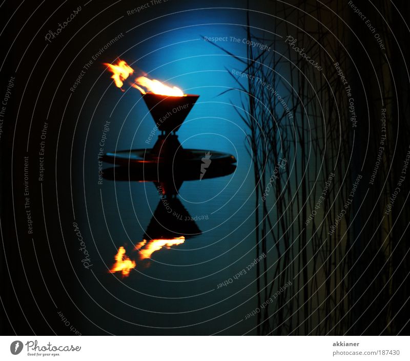 Olympisches Feuer Umwelt Natur Urelemente Luft Wasser Sommer Herbst Pflanze Sträucher Coolness exotisch heiß hell kalt nass blau schwarz Fackel Asien
