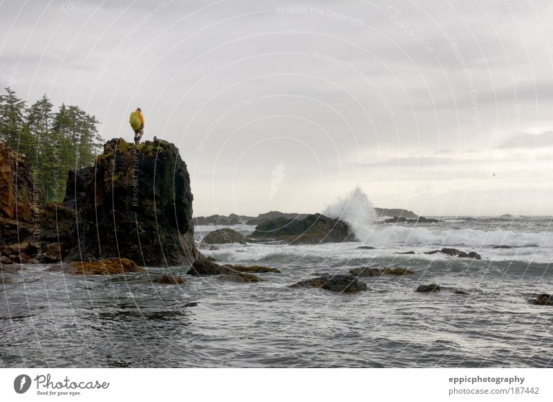 Wanderer und zerklüftete Küstenlinie Meer Wellen wandern Mensch Mann Erwachsene 1 Natur Baum Stimmung Freude Tapferkeit zusammenbrechend Pazifik Felsen robust