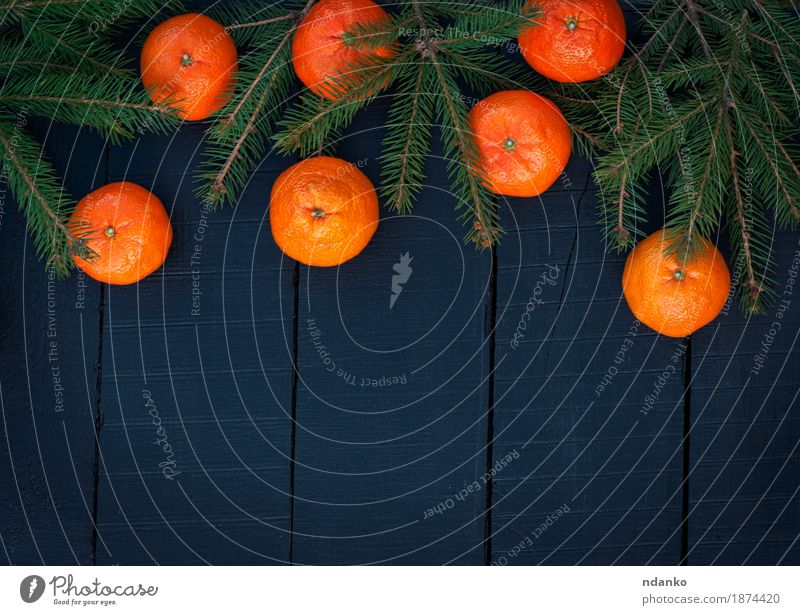 Orangenmandarinen mit Fichtenzweigen auf einem schwarzen Hintergrund Frucht Vegetarische Ernährung Dekoration & Verzierung Feste & Feiern Weihnachten & Advent