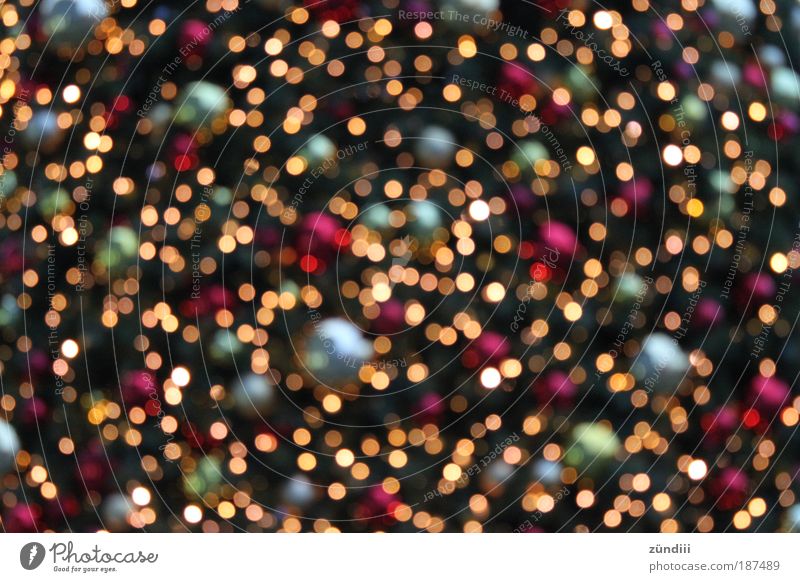 christmaslights Discokugel Gold glänzend leuchten mehrfarbig rot silber Stimmung Glück Zufriedenheit Vorfreude Glaube Licht Weihnachten & Advent glitzern