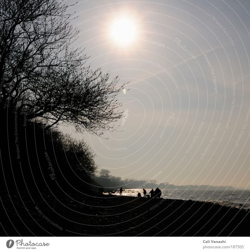 Familienausflug Ferien & Urlaub & Reisen Tourismus Ausflug Strand Meer Mensch Menschengruppe Natur Landschaft Himmel Sonne Sonnenlicht Klima Seeufer Bucht