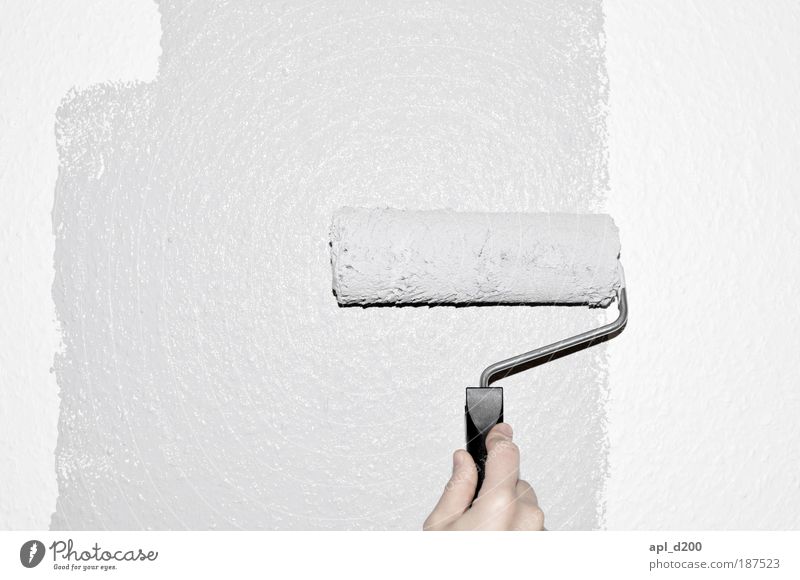 Grau malen Mensch maskulin Hand Finger 1 Mauer Wand streichen ästhetisch authentisch grau weiß Coolness Zufriedenheit Farbfoto Gedeckte Farben Innenaufnahme