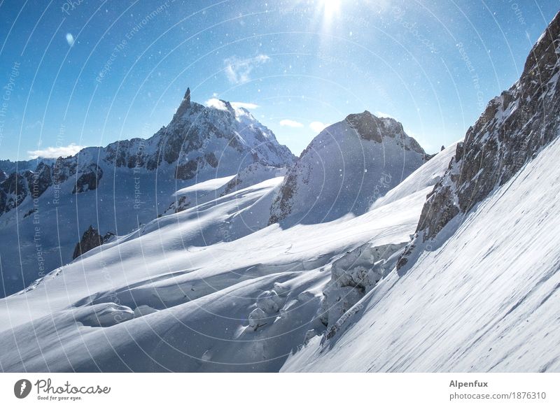 Der Zahn des Riesen Klettern Bergsteigen Natur Landschaft Eis Frost Felsen Alpen Berge u. Gebirge Tour Ronde Mont Blanc Gipfel Schneebedeckte Gipfel Gletscher