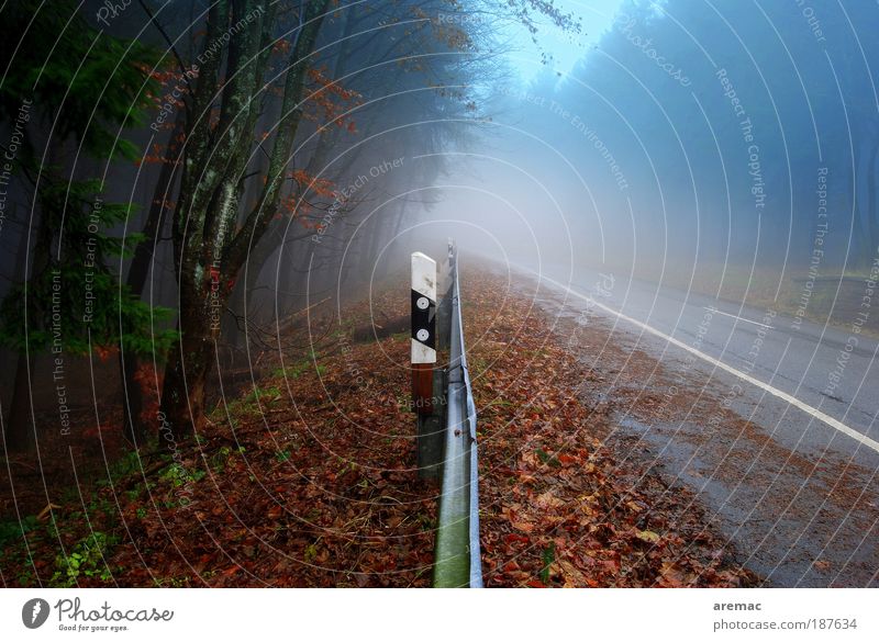 Seitenstreifen Umwelt Landschaft Pflanze Erde Herbst schlechtes Wetter Nebel Regen Wald Verkehr Verkehrswege Straßenverkehr Autofahren Verkehrszeichen