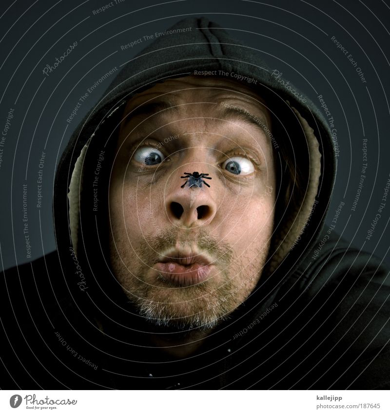 biologiestudium Jagd Mensch maskulin Mann Erwachsene Kopf Gesicht Auge Nase Mund 1 30-45 Jahre Pullover grauhaarig Dreitagebart Behaarung Tier Fliege Blick Ekel