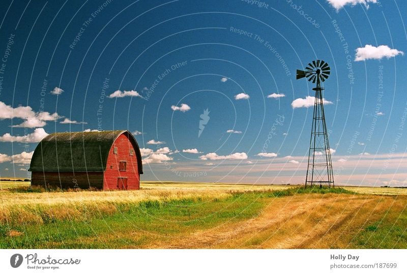 Die wahrscheinlich einzige rote Scheune (West-)Kanadas Landwirtschaft Windkraftanlage Energiewirtschaft Landschaft Himmel Wolken Sommer Schönes Wetter Gras