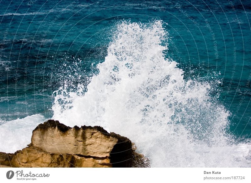 Mal so richtig austoben! Sommer Herbst Wetter Sturm Wellen Küste Meer Mittelmeer kämpfen spritzen Gischt hochspritzen Felsen Brandung fels in der brandung blau