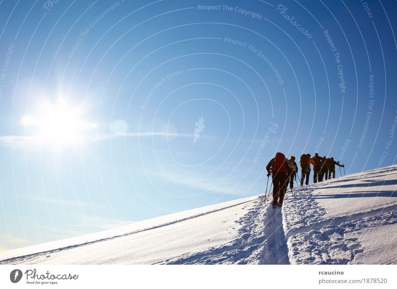 Gruppe von Backcountry-Skifahrer laufen auf die Spitze eines Berges Abenteuer Winter Schnee Berge u. Gebirge wandern Sport Skifahren Mann Erwachsene Landschaft