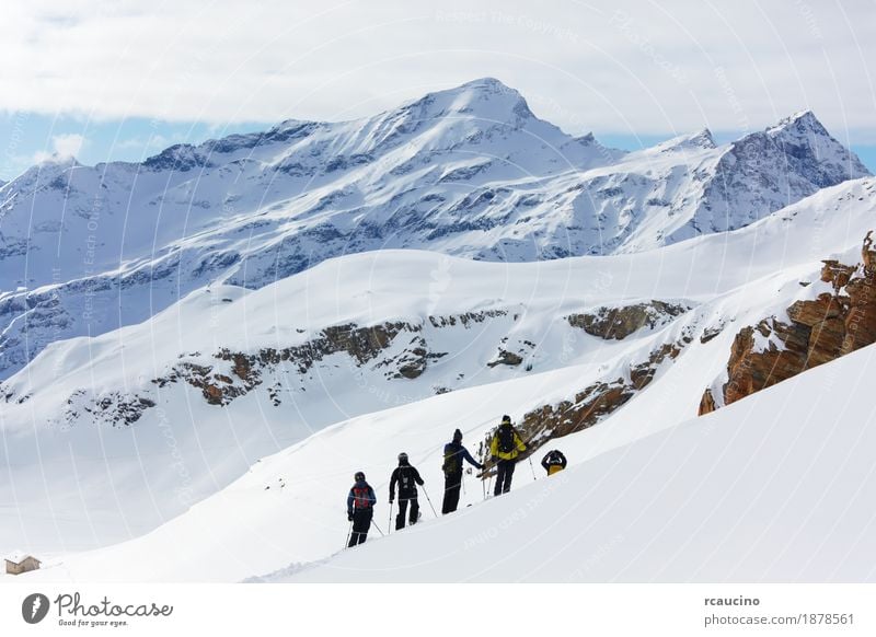 Eine Gruppe Freerider über einer schneebedeckten Berglandschaft. Ferien & Urlaub & Reisen Winter Schnee Berge u. Gebirge Sport Skifahren Junge Mann Erwachsene