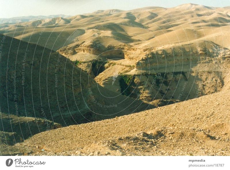 Wüstelandschaft in Israel Sand Sonne Wärme Düne Dürre Furche Tal Ferne Erosion Menschenleer Außenaufnahme Farbfoto