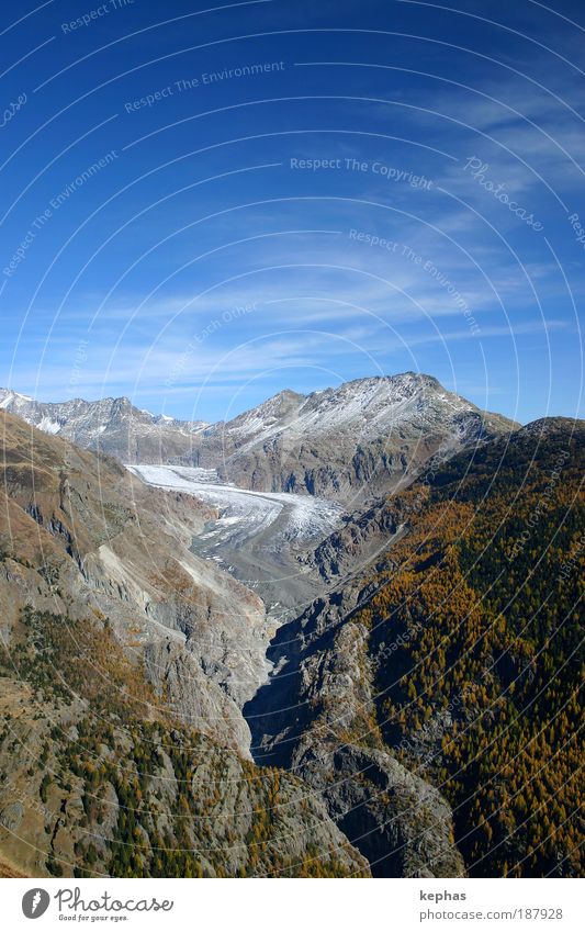Grosser (?) Aletschgletscher Umwelt Natur Landschaft Himmel Wolken Herbst Klima Klimawandel Schönes Wetter Wald Felsen Alpen Berge u. Gebirge Gipfel Gletscher