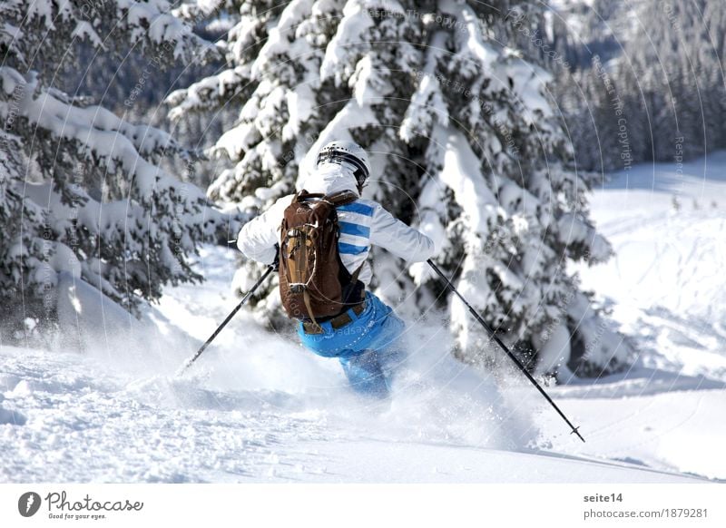 Skier skiing off piste. Powder. Freeski. Freeride Ferien & Urlaub & Reisen Tourismus Ausflug Abenteuer Freiheit Expedition Winter Schnee Winterurlaub