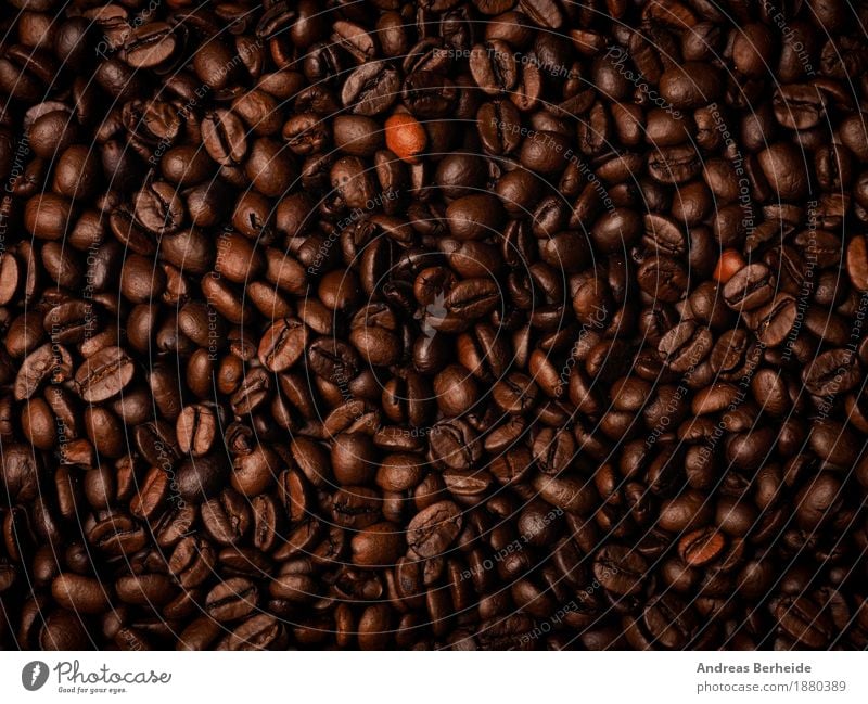 Viele Espressobohnen Getränk Kaffee Duft lecker braun coffee cup Hintergrundbild beans Café brown aromatisch breakfast caffeine table fresh hot morning grain